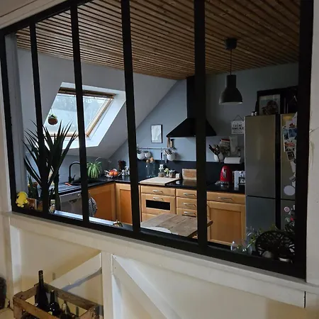 Duplex Centre 公寓 科尔马